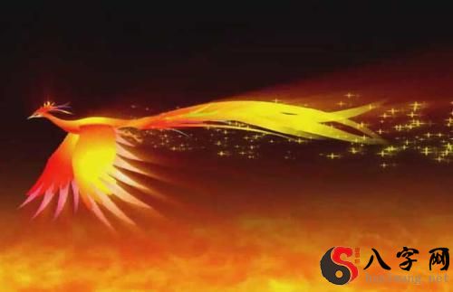 梦见凤凰啄大蛇